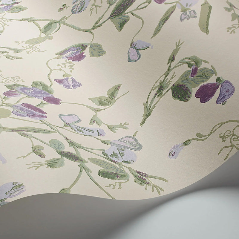 Carta da Parati "SWEET PEA Archive Anthology Mulberry & Sage on Cream" Botanical | COLE & SON