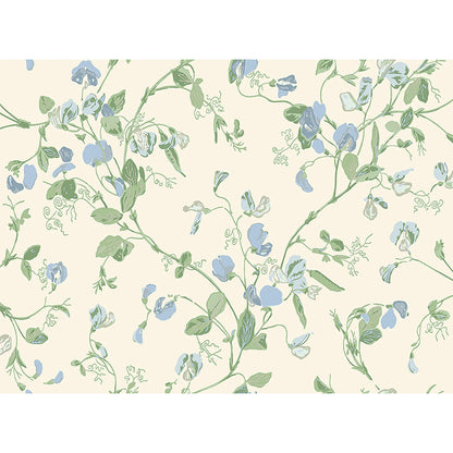 Carta da Parati "SWEET PEA Archive Anthology Mulberry & Sage on Cream" Botanical | COLE & SON