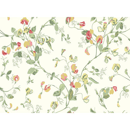 Carta da Parati "SWEET PEA Archive Anthology Yellow & Coral on Cream" Botanical | COLE & SON