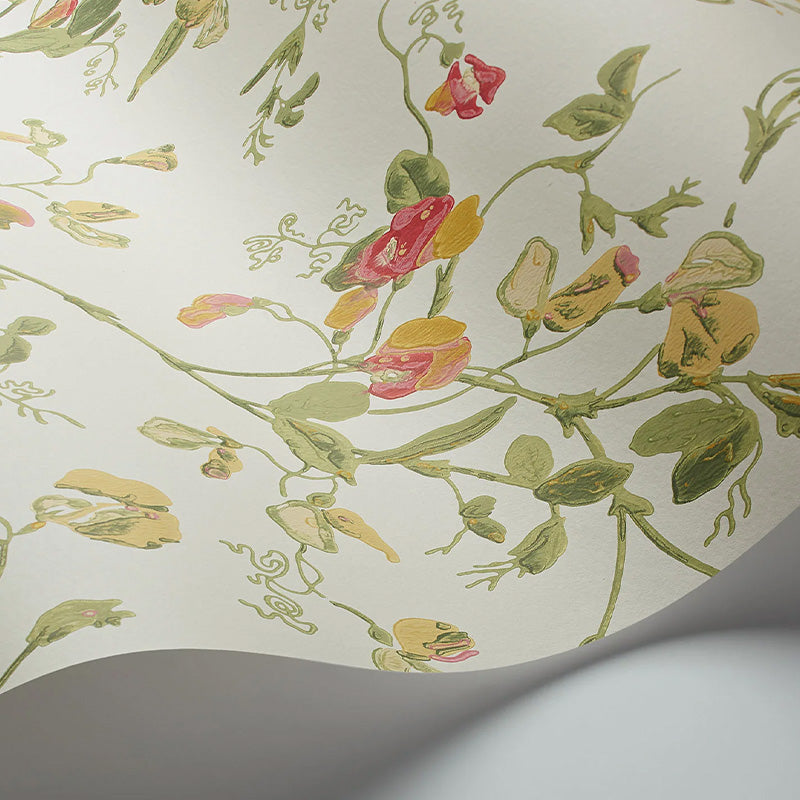 Carta da Parati "SWEET PEA Archive Anthology Yellow & Coral on Cream" Botanical | COLE & SON