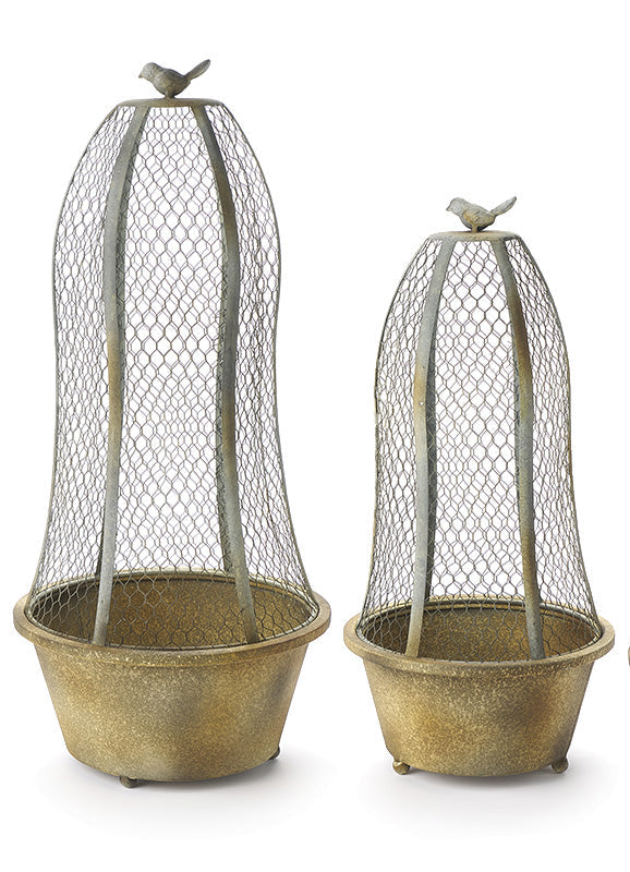Set of three "Little Birds" iron cages