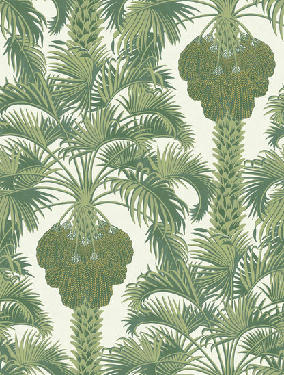Carta da Parati "MARTYN LAWRENCE BULLARD" Hollywood palm verde e crema | COLE & SON