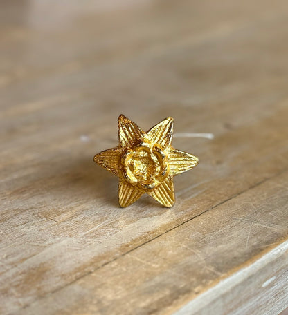 Pomello in Ferro "Stella alpina dorata"