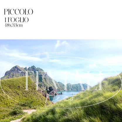 Découpage Mare - Comodo