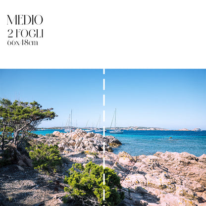 Découpage Mare - San Floran