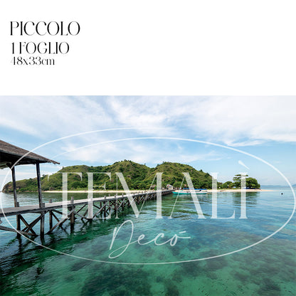 Découpage Mare - Indonesia