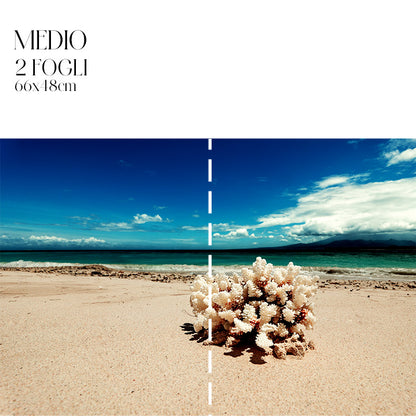 Découpage Mare - Corallo d'Indonesia