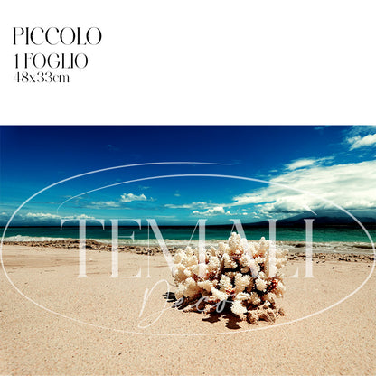 Découpage Mare - Corallo d'Indonesia