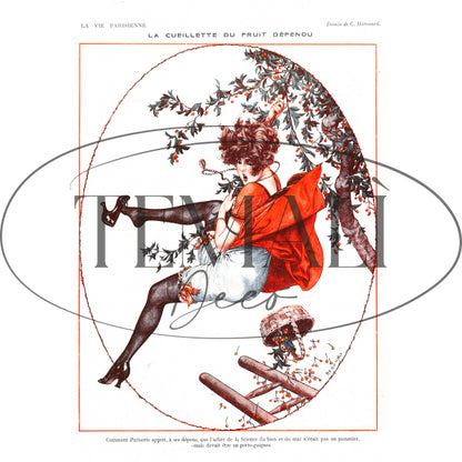 Découpage Moda - Le Queillette