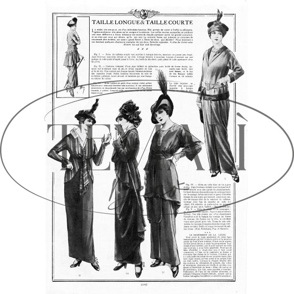 Découpage Moda - Taille Longue