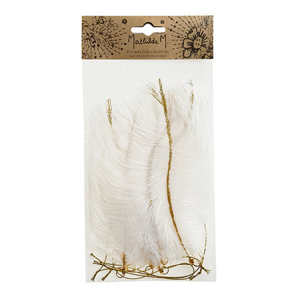 6 piume bianche decorative da appendere - Mathilde M.