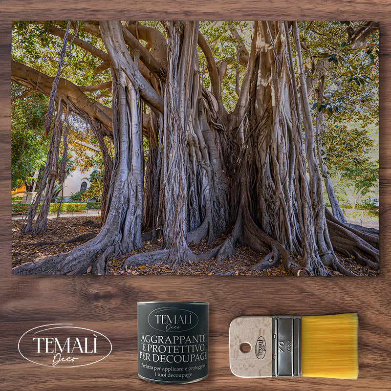 Decoupagé Natura - Intreccio