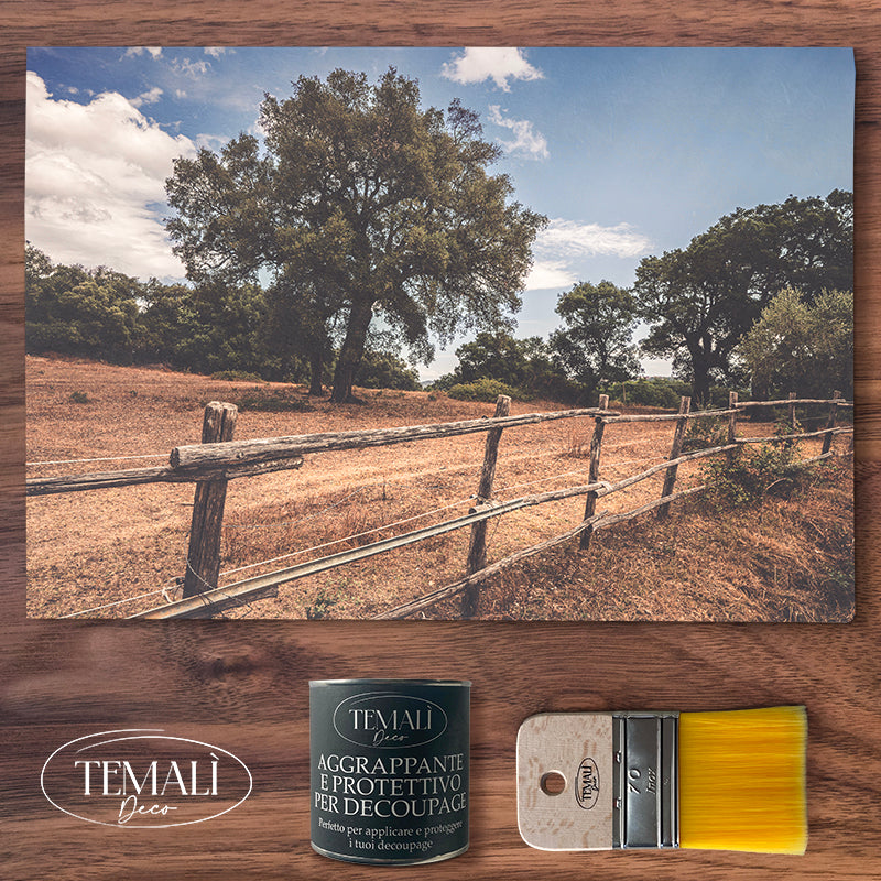 Découpage Natura - Campagna Toscana