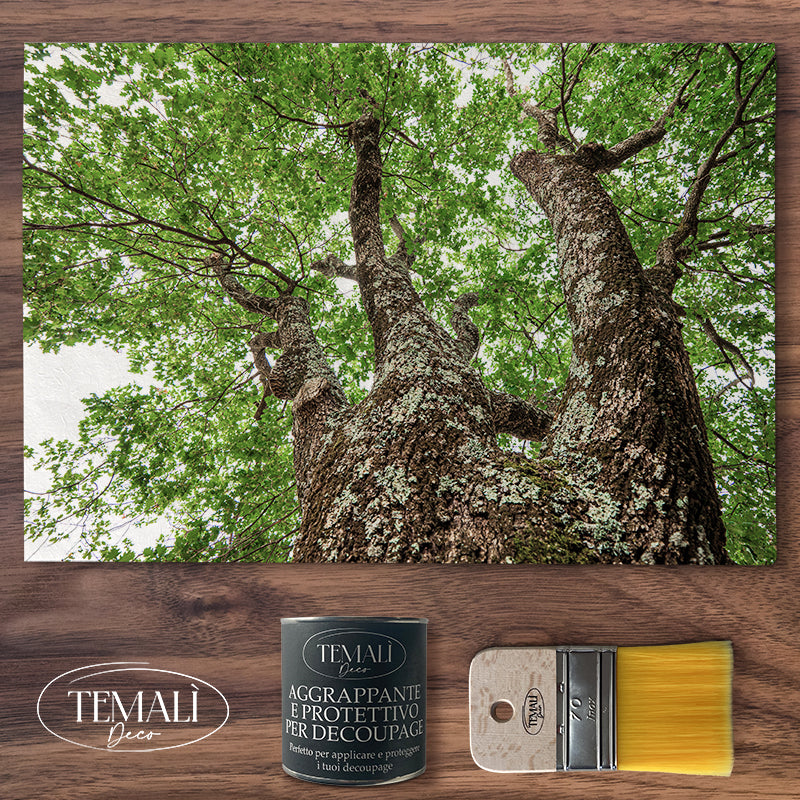 Decoupagé Natura - Respiro Naturale
