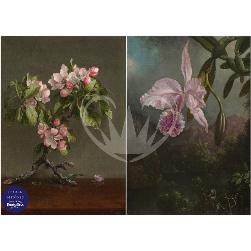 Carta da Découpage "Apple Blossom & Orchid" in Carta di Riso Posh chalk 30x42cm