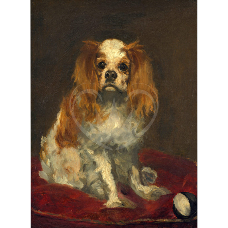 Carta da Découpage "Spaniel" in Carta di Riso Posh chalk 60x84cm