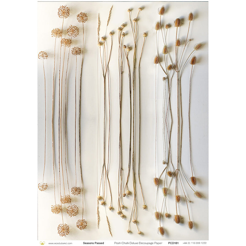 Carta da Découpage "Seasons Passed" in Carta di Riso Posh chalk 28,5x40 cm