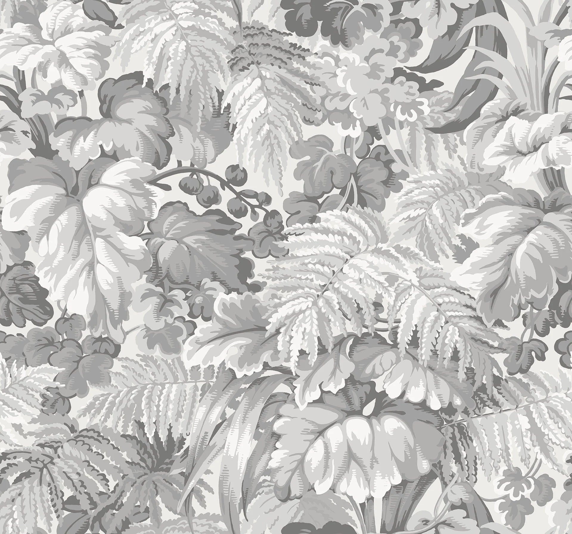 Carta da Parati "MARTYN LAWRENCE BULLARD" Royal Fernery grigio | COLE & SON