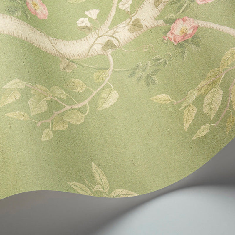 Carta da Parati "SEASONAL WOODS Jade Silk" The Garden | COLE & SON
