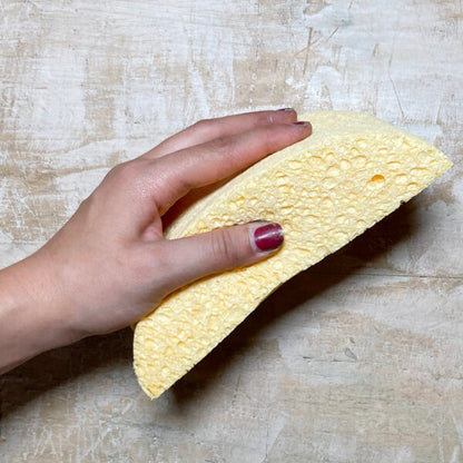 Spugna Mezzaluna in Cellulosa