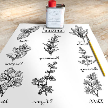 Stampa Trasferibile “COUNTRY, HERBS AND SPICES” 28×40 cm