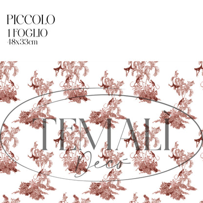 Dècoupage Toile de Jouy - Scimmie rosse