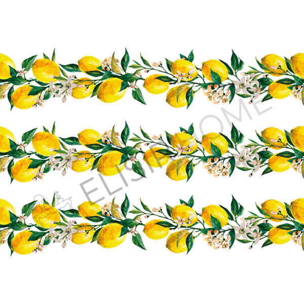 Stampa Trasferibile "FANTASIA, GHIRLANDA LIMONI" 28x40 cm
