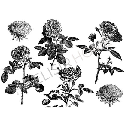 Stampa Trasferibile "VINTAGE, DRAWING FLOWER" 28x40 cm