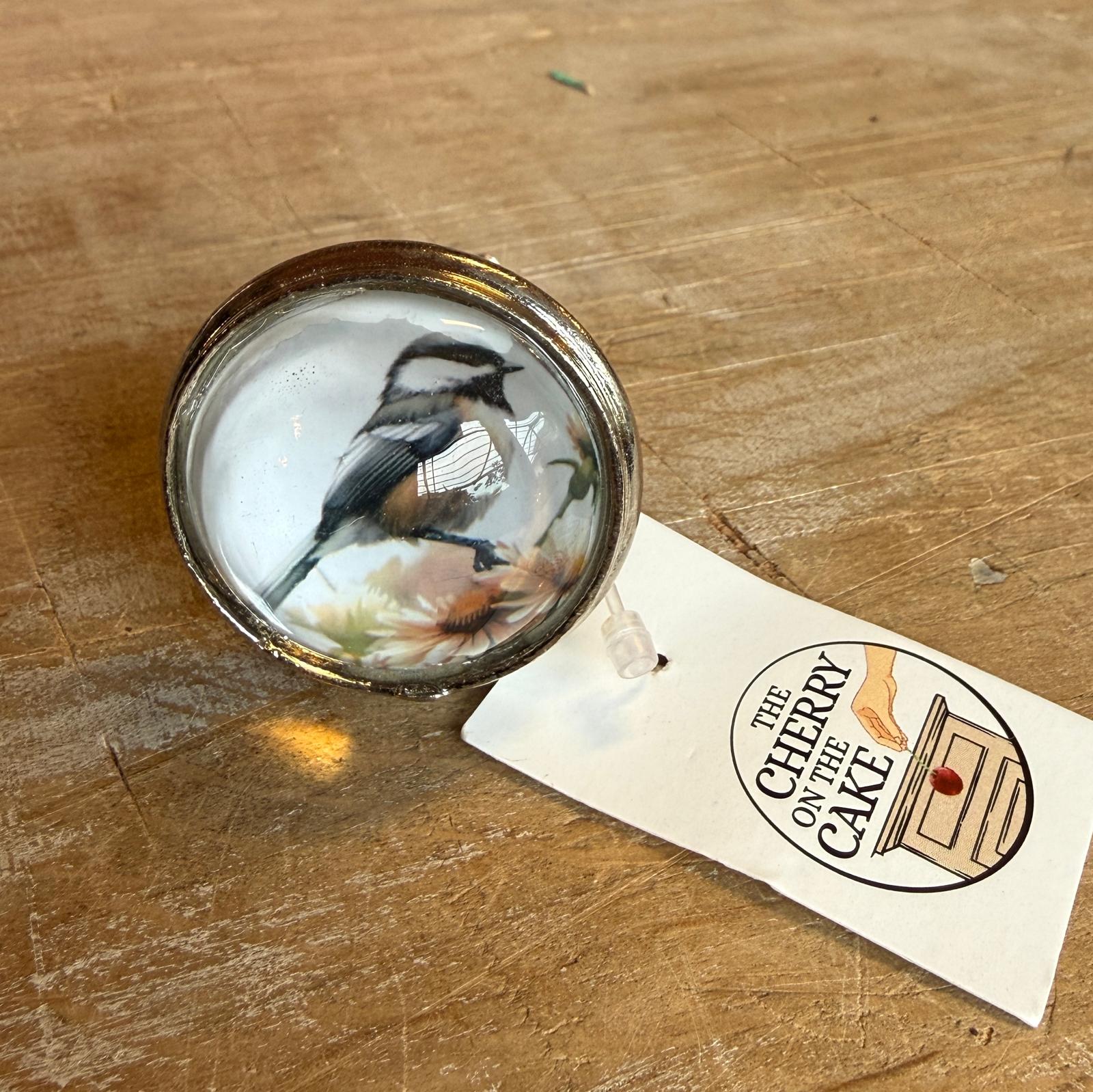 Pomello in Ferro e Vetro "Passerotto"