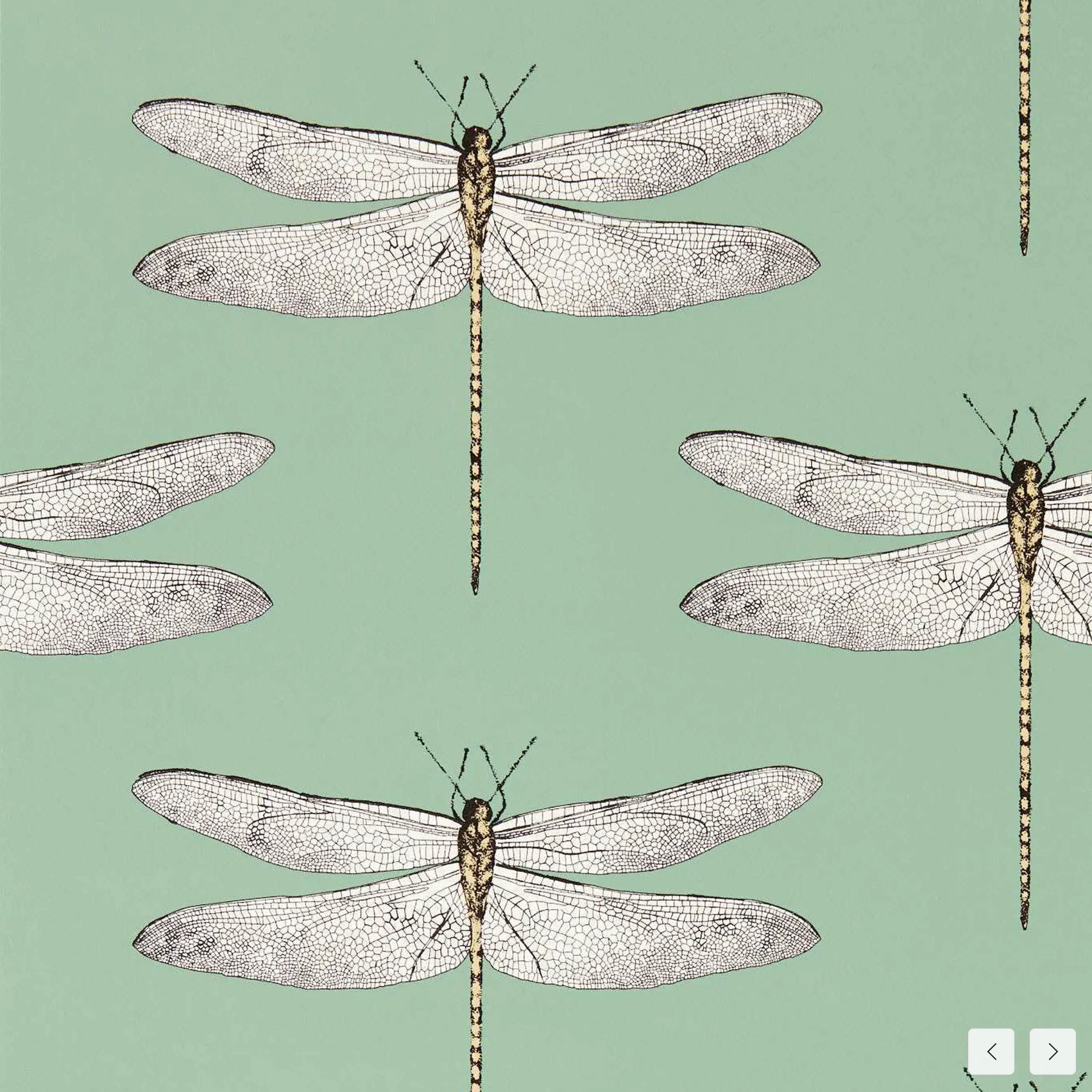 Carta da Parati “Demoiselle Verde Chiaro” | HARLEQUIN