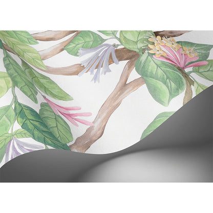 Carta da Parati "Hummingbirds Flora Blush, Sage, & Mulberry on Cream" Selection of Hummingbirds | COLE & SON