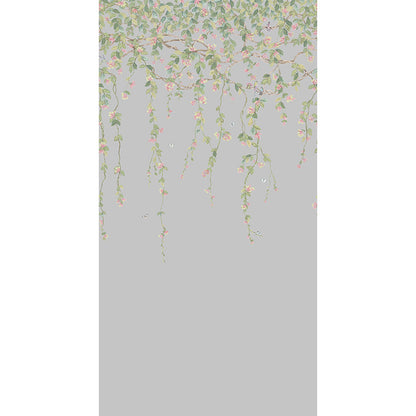 Carta da Parati "Hummingbirds Flora Rose & Olive on Grey" Selection of Hummingbirds | COLE & SON