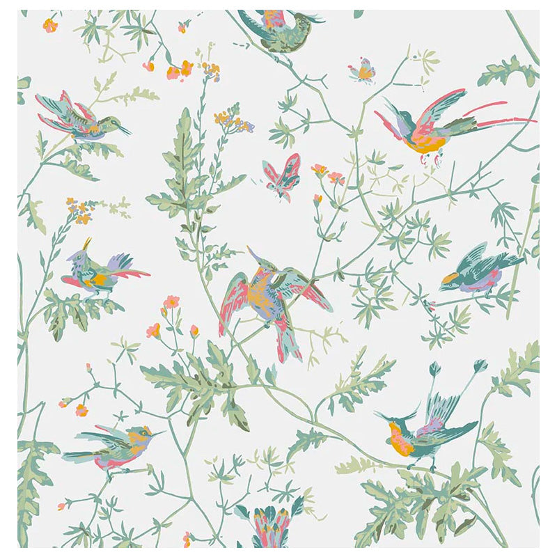 Carta da Parati "Hummingbirds Pastel" Selection of Hummingbirds | COLE & SON