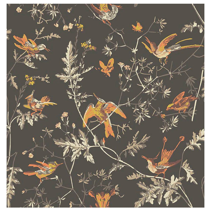 Carta da Parati "Hummingbirds Charcoal & Ginger" Selection of Hummingbirds | COLE & SON
