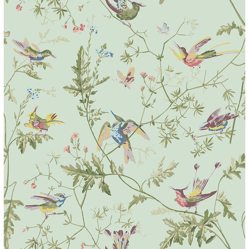 Carta da Parati "Hummingbirds Multi, Old Olive on Duck Egg" Selection of Hummingbirds | COLE & SON