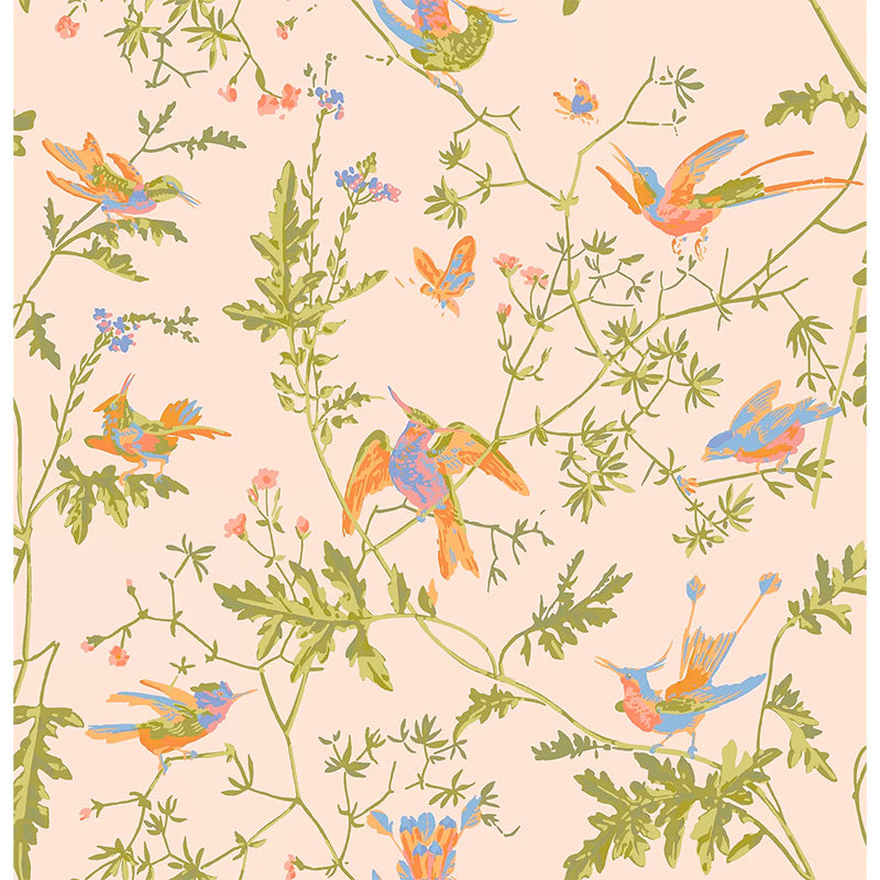 Carta da Parati "Hummingbirds Tangerine & Olive on Blush" Selection of Hummingbirds | COLE & SON
