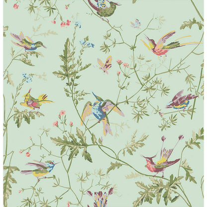 Carta da Parati "Hummingbirds Multi, Old Olive on Duck Egg Mica" Selection of Hummingbirds | COLE & SON