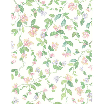 Carta da Parati "Flora Blush, Sage, & Mulberry on Cream" Selection of Hummingbirds | COLE & SON