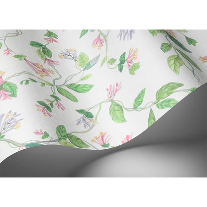 Carta da Parati "Flora Blush, Sage, & Mulberry on Cream" Selection of Hummingbirds | COLE & SON