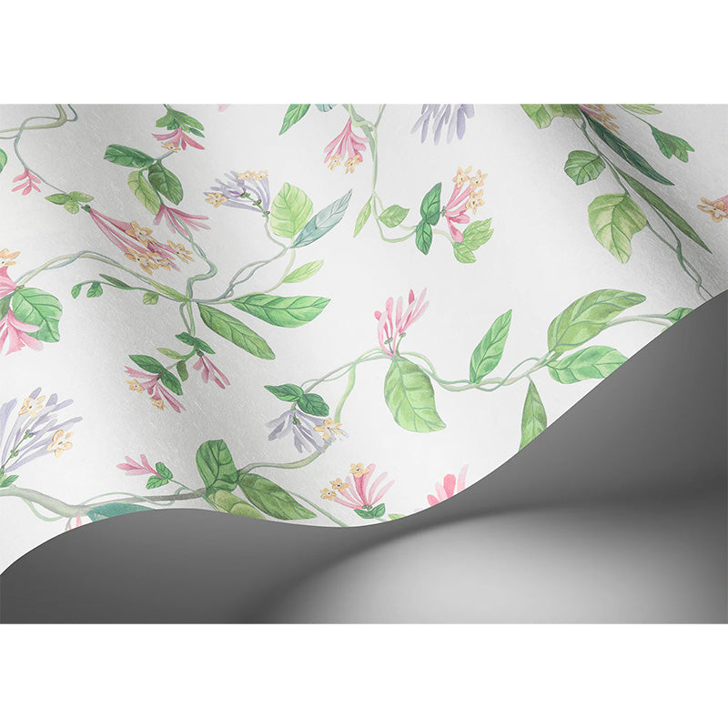 Carta da Parati "Flora Blush, Sage, & Mulberry on Cream" Selection of Hummingbirds | COLE & SON