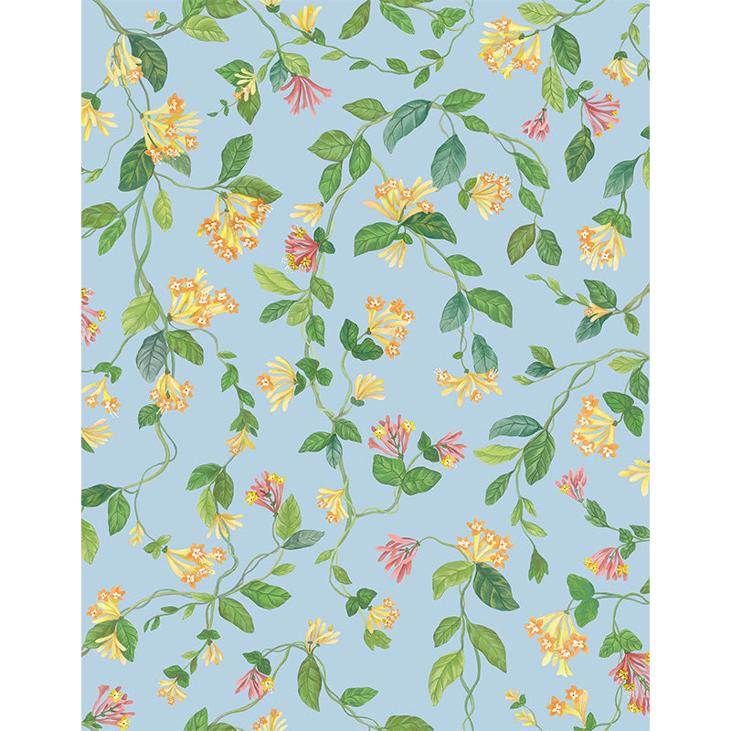 Carta da Parati "Flora Buttercup Yellow on Cornflower Blue" Selection of Hummingbirds | COLE & SON