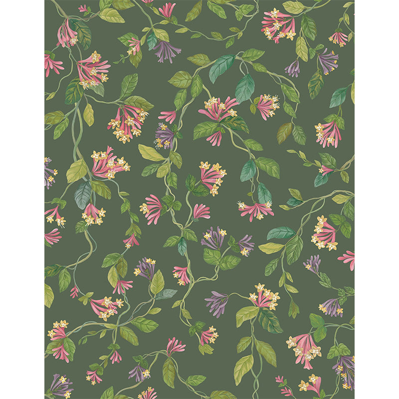 Carta da Parati "Flora Buttercup Fuchsia on Racing Green" Selection of Hummingbirds | COLE & SON
