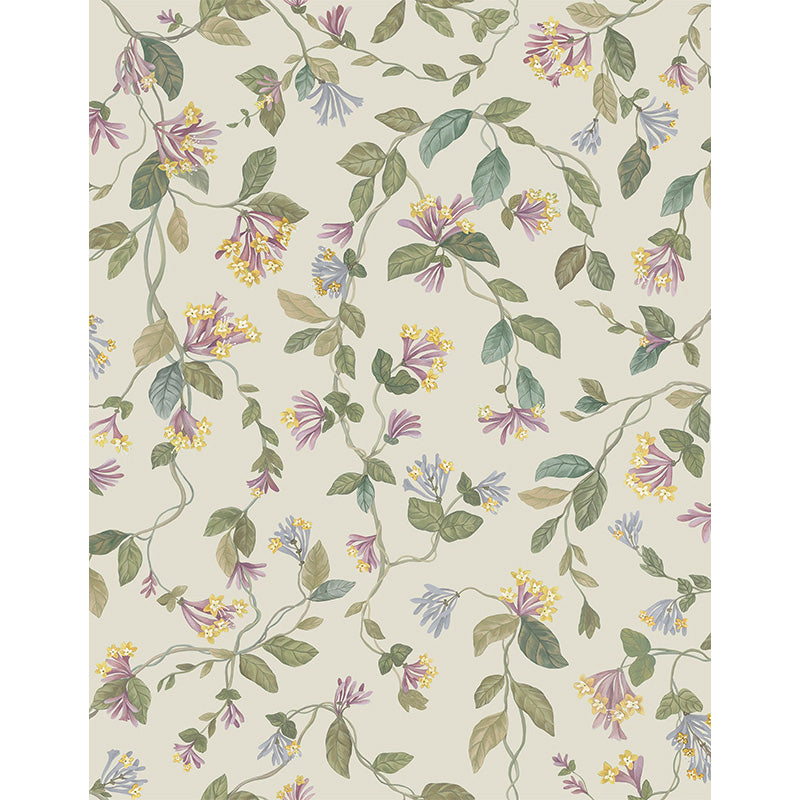Carta da Parati "Flora Multi, Old Olive on Eau Du Nil" Selection of Hummingbirds | COLE & SON