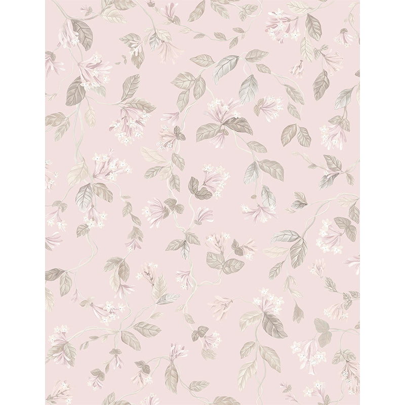 Carta da Parati "Flora Stone on Rose Quartz" Selection of Hummingbirds | COLE & SON