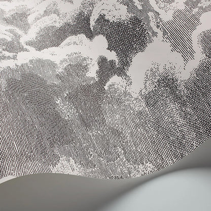 Carta da Parati “NUVOLETTE” Fornasetti | COLE & SON