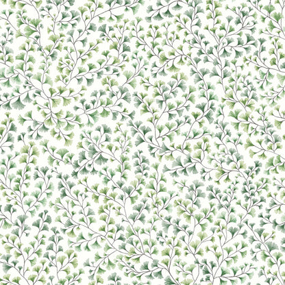Carta da Parati "MAIDENHAIR VERDE" Botanical | COLE & SON