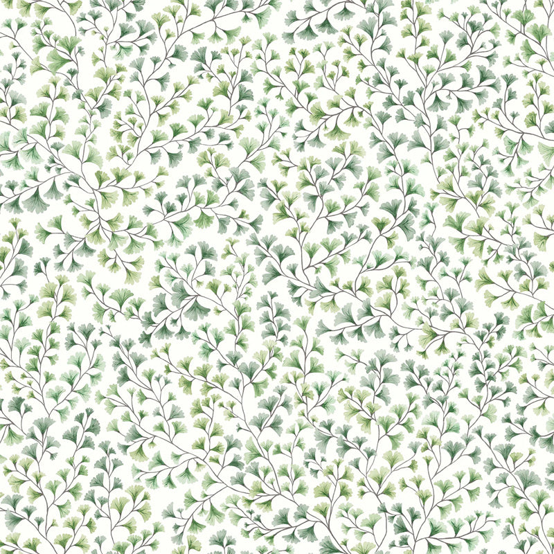 Carta da Parati "MAIDENHAIR VERDE" Botanical | COLE & SON
