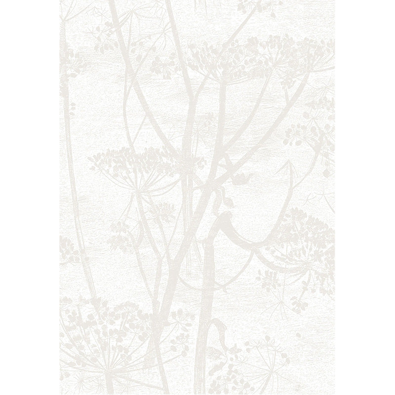 Carta da Parati "COW PARSLEY BIANCO & AVORIO" The Contemporary | COLE & SON
