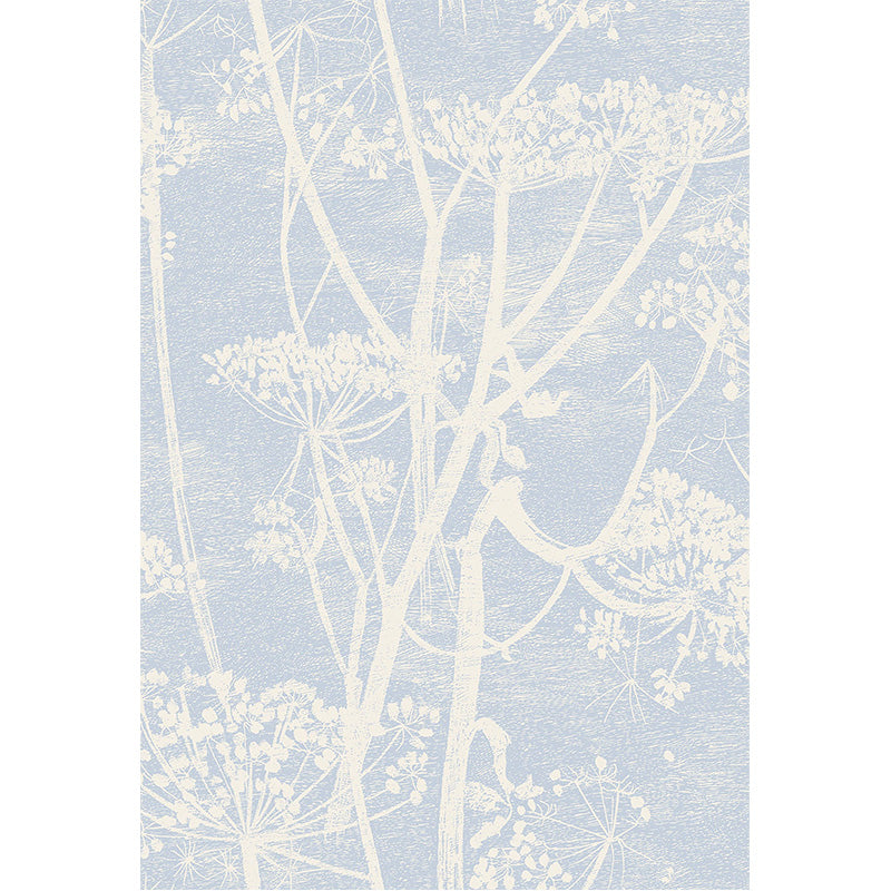 Carta da Parati "COW PARSLEY BIANCO & AZZURRO" The Contemporary | COLE & SON
