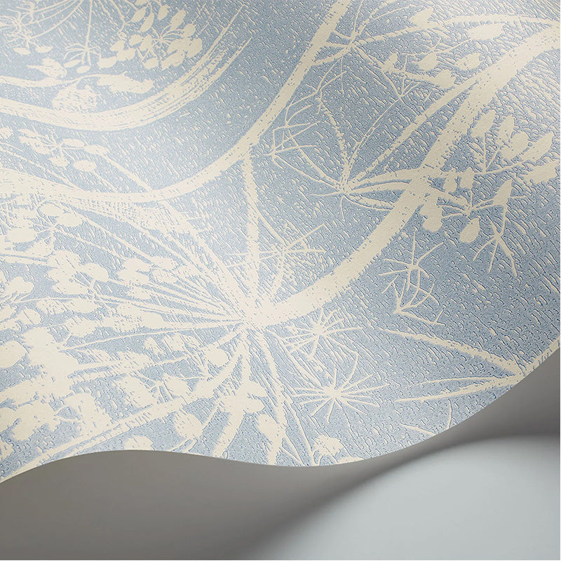 Carta da Parati "COW PARSLEY BIANCO & AZZURRO" The Contemporary | COLE & SON